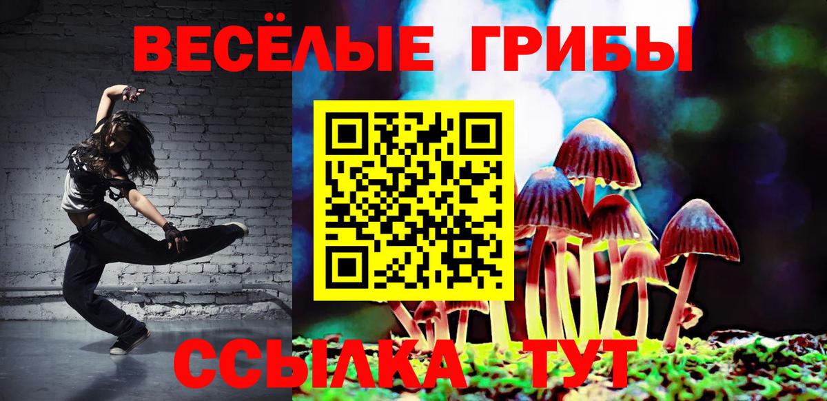 купить  цена  Галлюциногенные грибы Psilocybe  Вход с VPN  Прокопьевск 